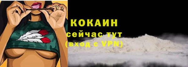 тгк Арсеньев
