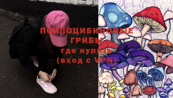молекула духа Осинники