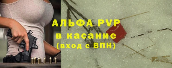дмт Осташков